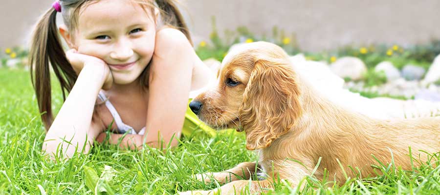 a young girl and a puppy playing in the grass
