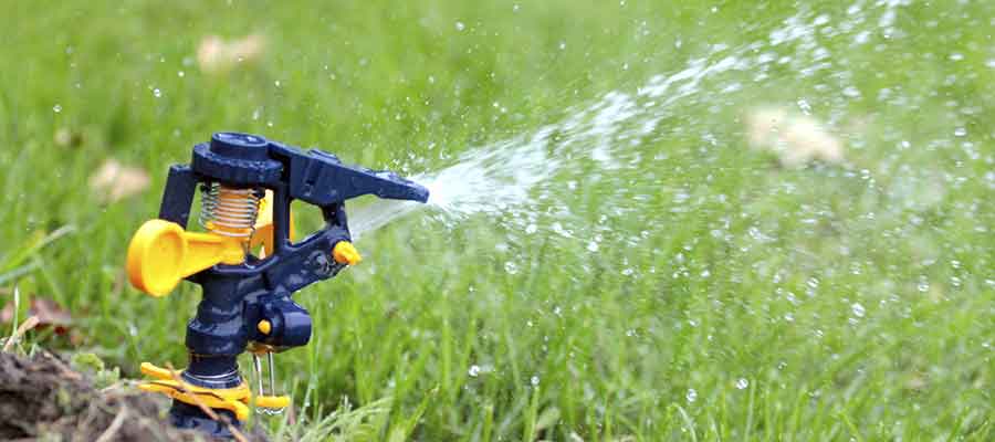 a sprinkler watering a green lawn