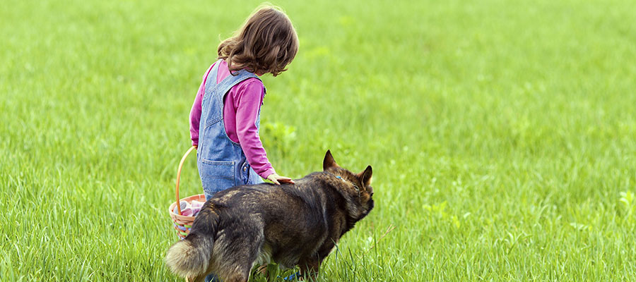 a young girl and a puppy playing in the grass